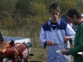k-img_2093
