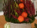 k-IMG_4520