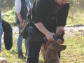 k-IMG_4531