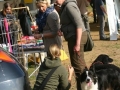 k-IMG_4536