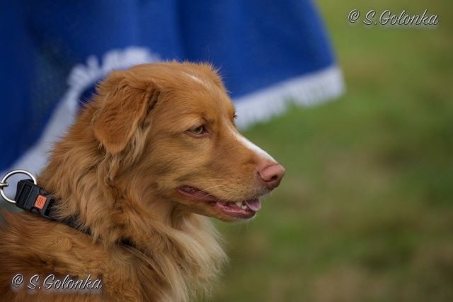 k-SGO_0058