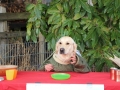 k-IMG_4117