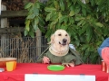 k-IMG_4118
