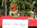 k-IMG_4144