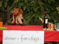 k-IMG_4175
