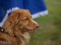 k-SGO_0058