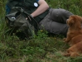k-IMG_4269