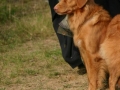 k-IMG_4298