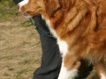 k-IMG_4299