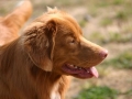 k-IMG_4302