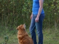 k-IMG_4332