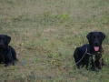 k-IMG_4342