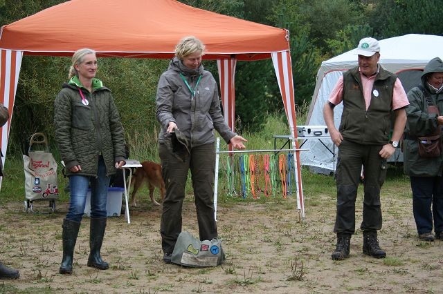 k-Hoch zu Ross (1)