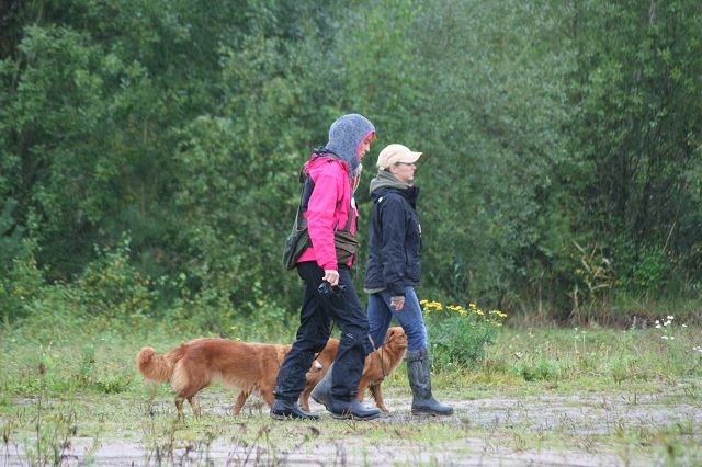 k-Hoch zu Ross (42)
