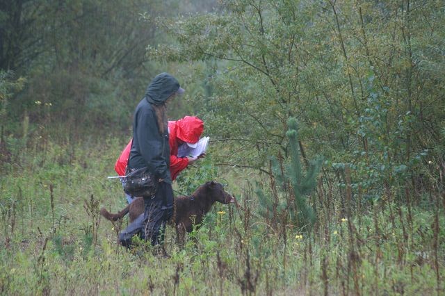 k-Hoch zu Ross (47)