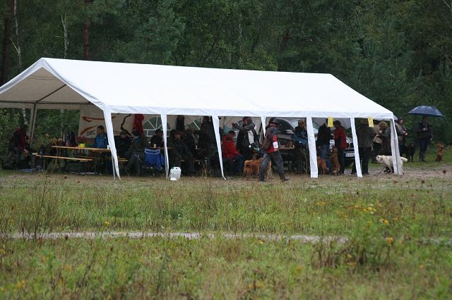k-Hoch zu Ross (59)