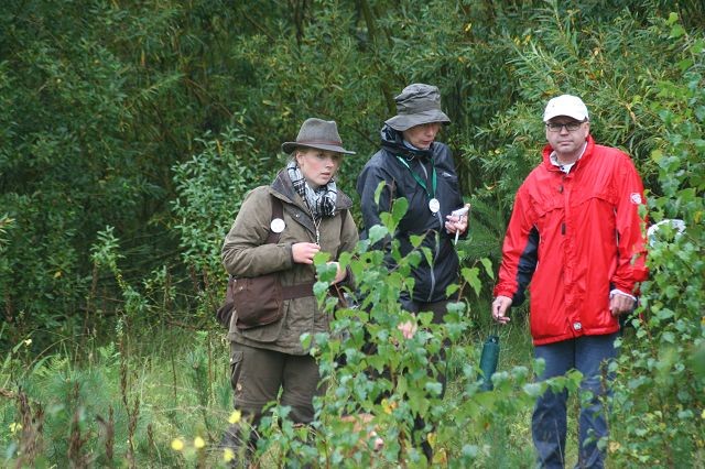 k-Hoch zu Ross (65)