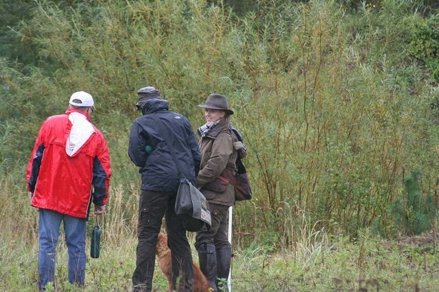 k-Hoch zu Ross (66)