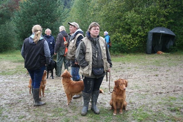 k-Hoch zu Ross (70)