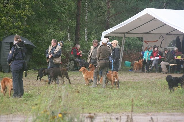 k-Hoch zu Ross (74)