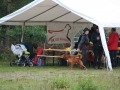 k-Hoch zu Ross (22)