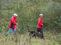 k-Hoch zu Ross (29)