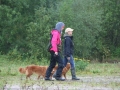 k-Hoch zu Ross (42)