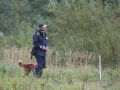 k-Hoch zu Ross (43)