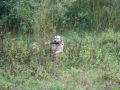 k-Hoch zu Ross (45)