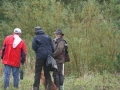 k-Hoch zu Ross (66)