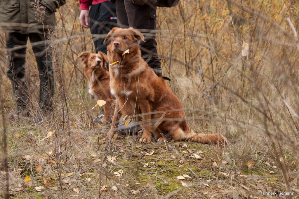 20121111_htt-wunstorf_dsc4312