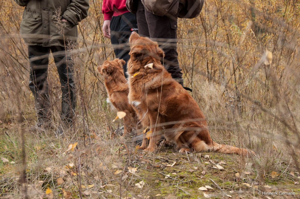 20121111_htt-wunstorf_dsc4313