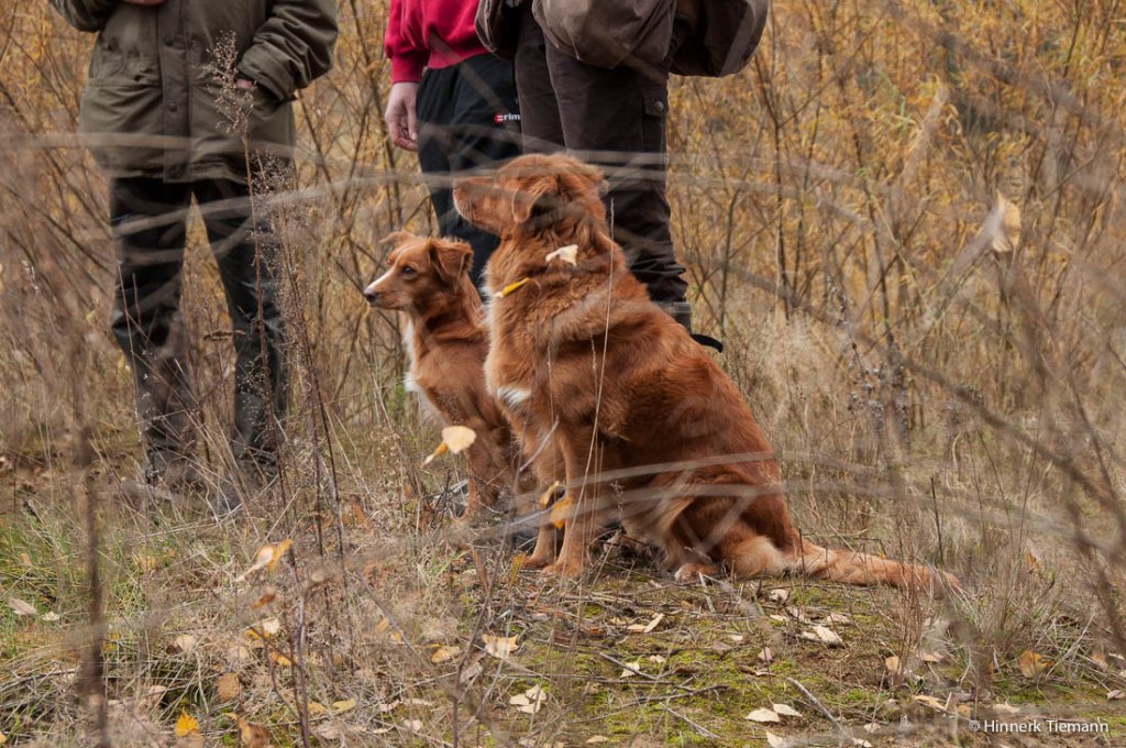 20121111_htt-wunstorf_dsc4314
