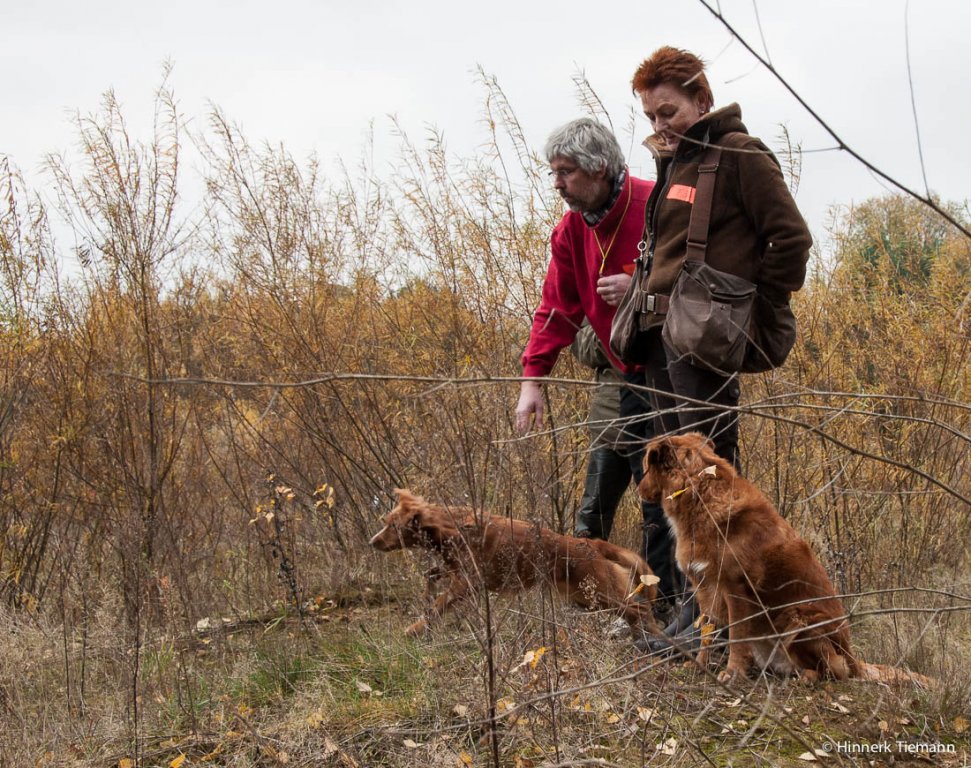 20121111_htt-wunstorf_dsc4322