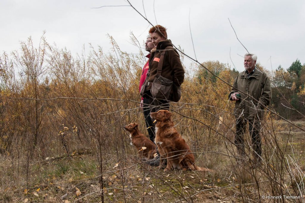 20121111_htt-wunstorf_dsc4327