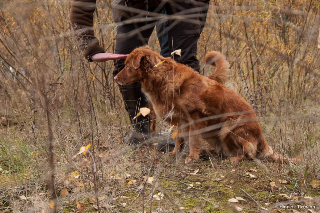 20121111_htt-wunstorf_dsc4330