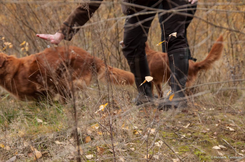 20121111_htt-wunstorf_dsc4331