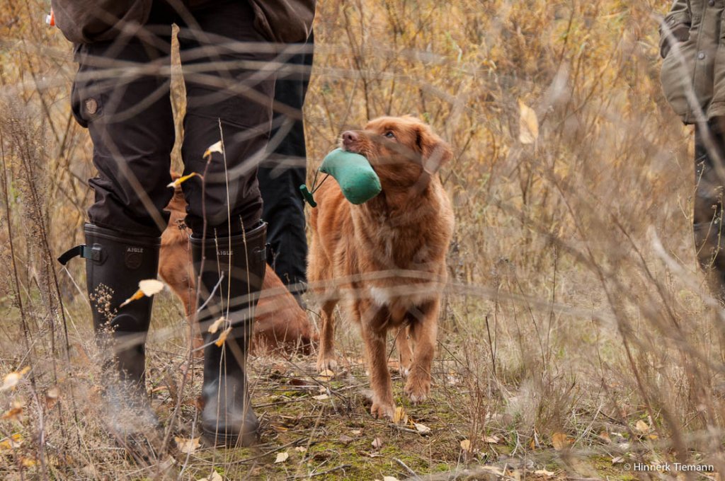 20121111_htt-wunstorf_dsc4333