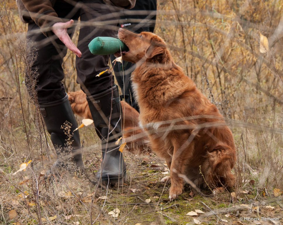 20121111_htt-wunstorf_dsc4335