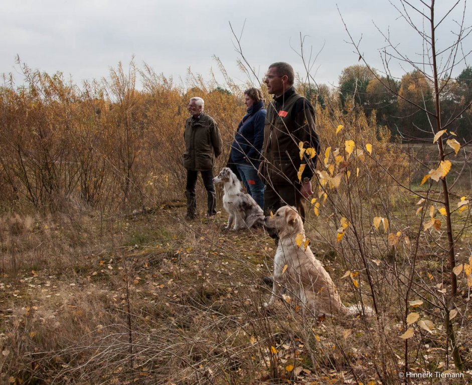 20121111_htt-wunstorf_dsc4342