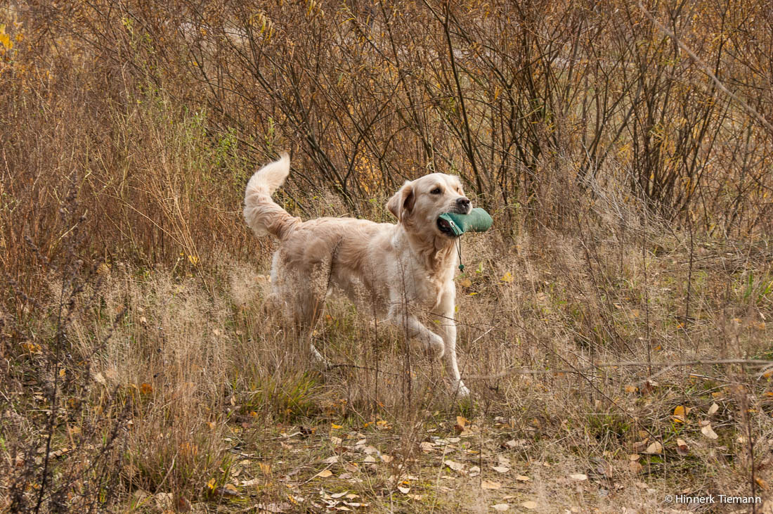 20121111_htt-wunstorf_dsc4343