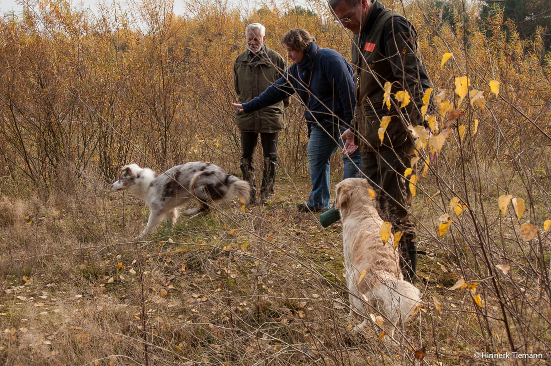20121111_htt-wunstorf_dsc4344