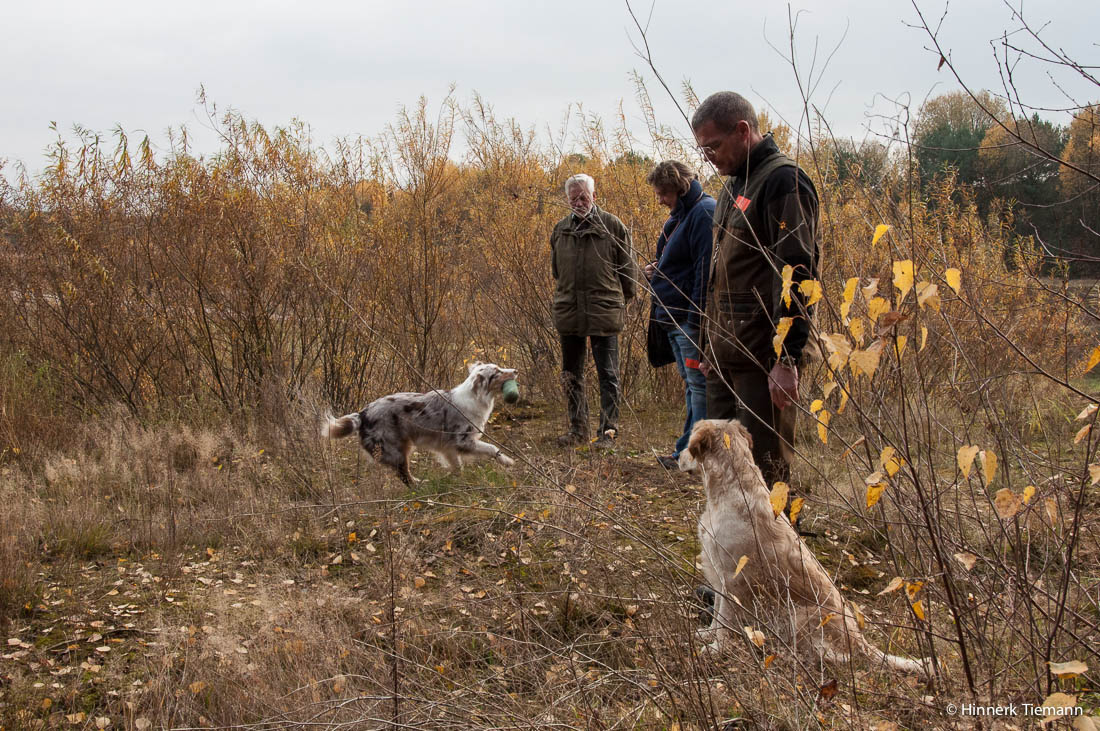 20121111_htt-wunstorf_dsc4346