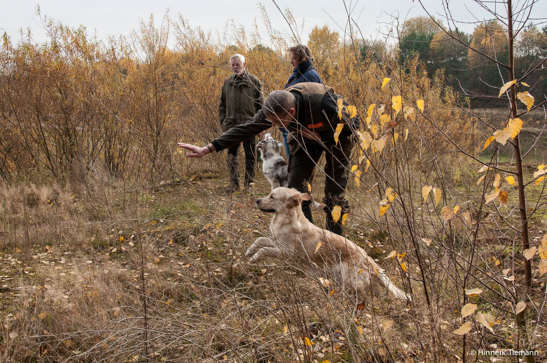 20121111_htt-wunstorf_dsc4347