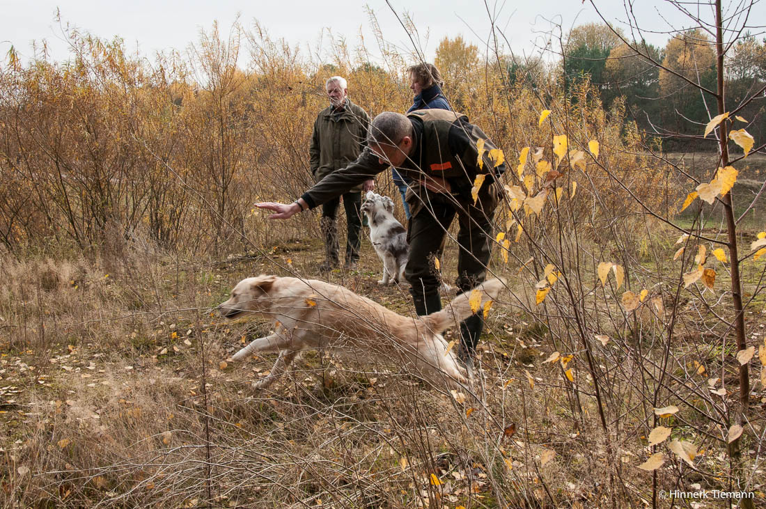 20121111_htt-wunstorf_dsc4348