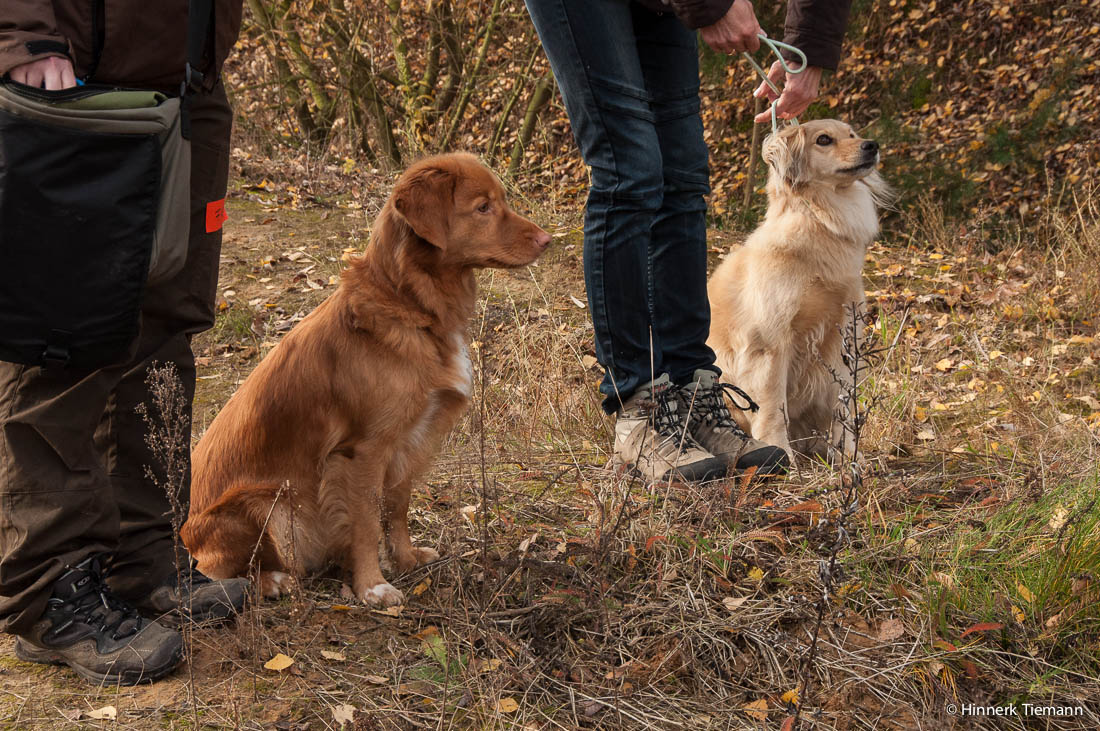 20121111_htt-wunstorf_dsc4353