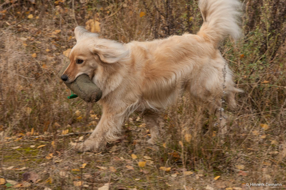 20121111_htt-wunstorf_dsc4357