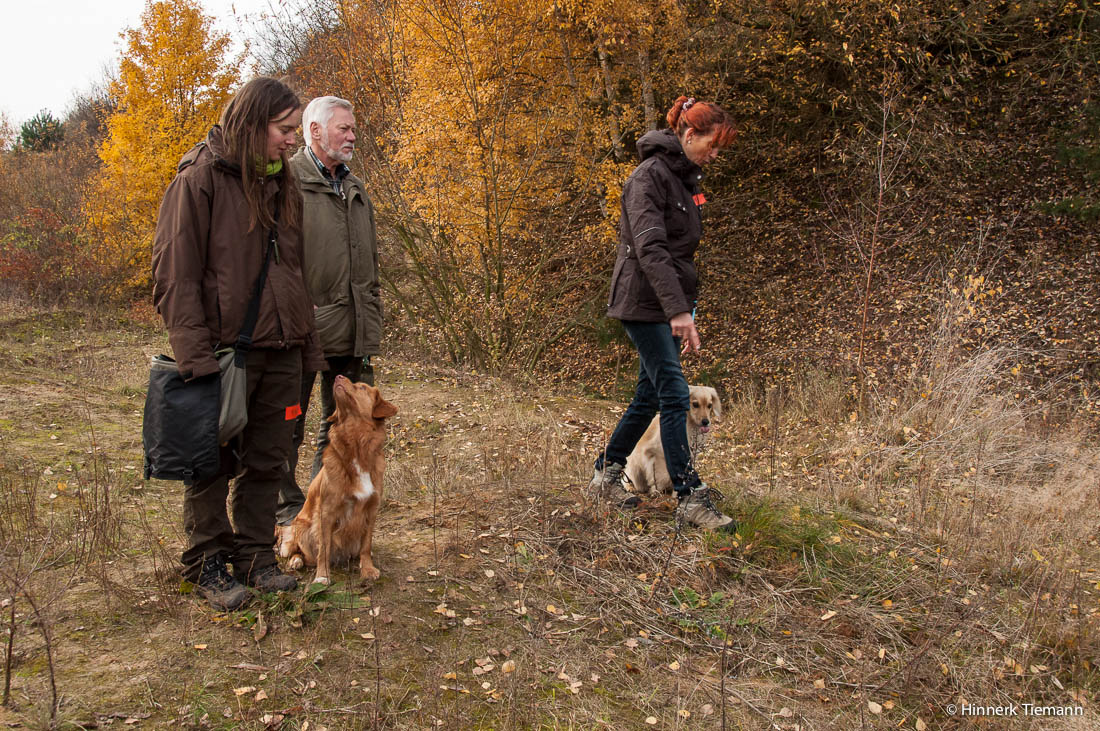 20121111_htt-wunstorf_dsc4359