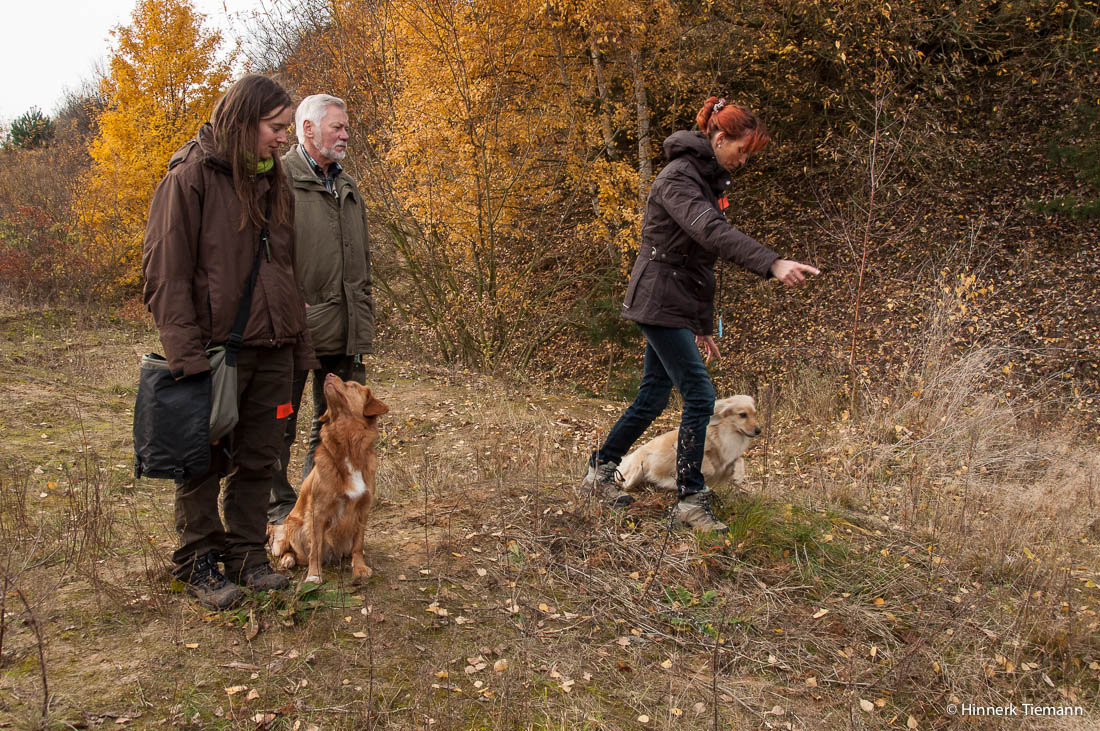 20121111_htt-wunstorf_dsc4360