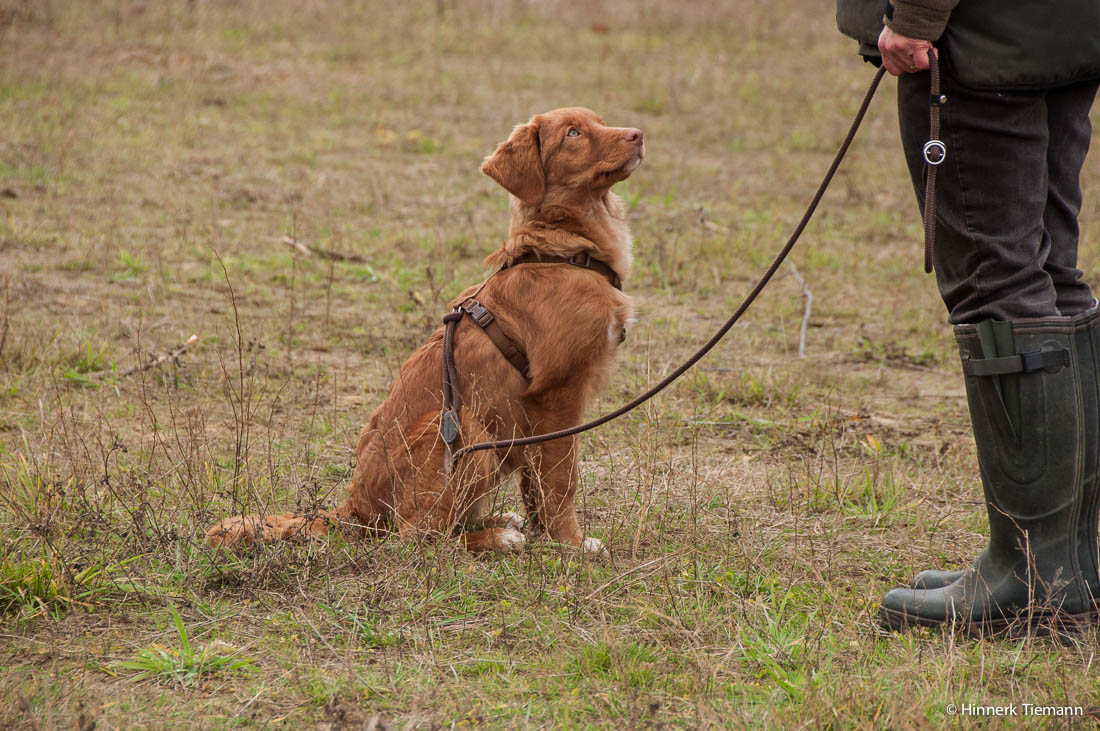 20121111_htt-wunstorf_dsc4387